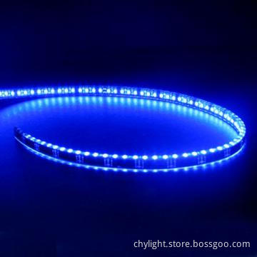 12V Decorative Light , 12V/24V LED Strip Light